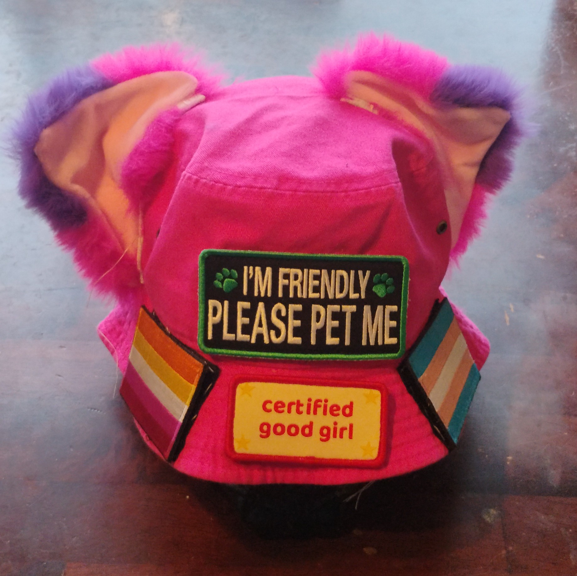 front of my hot pink bucket hat with cat ears and lesbian flag and trans flag and certified good girl and i'm friendly please pet me patches sewn on